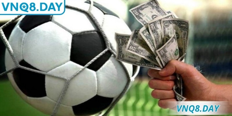 Kèo Chấp Nửa Trái VNQ8 – Hiểu Rõ Để Dễ Thắng Lớn Hơn 1 Kèo chấp nửa trái là gì? Hiểu đúng nguyên tắc để nâng cao cơ hội chiến thắng