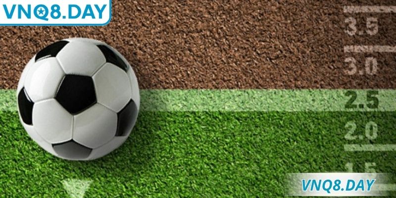 Tài Xỉu 2 Trái – Cách Hiểu, Phân Tích Và Soi Chuẩn Xác 3 Cược tài xỉu cần tìm hiểu chiến lược thi đấu từng đội